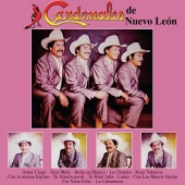 Cardenales de Nuevo León - Amor Ciego