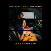 Hook N Sling - Arms Around Me (feat. Digital Farm Animals)