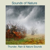 Sounds Of Nature - Thunder, Rain & Nature Sounds