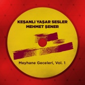 Yaşar Sesler & Mehmet Şener - Meyhane Geceleri 1