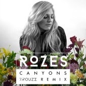 ROZES - Canyons [Trouze Remix]