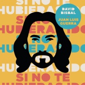 David Bisbal & Juan Luis Guerra - Si No Te Hubieras Ido