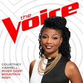 Courtney Harrell - River Deep Mountain High [The Voice Performance]