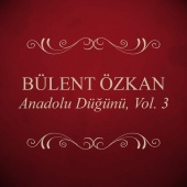 Bülent Özkan - Anadolu Düğünü 3