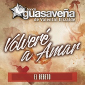 Banda Guasaveña de Valentín Elizalde - Volveré A Amar (feat. El Bebeto)
