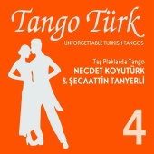 Necdet Koyutürk & Şecaattin Tanyerli - Tango Türk 4