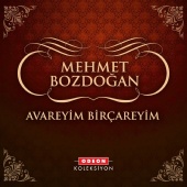 Mehmet Bozdoğan - Avareyim Biçareyim