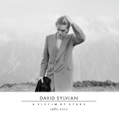 David Sylvian - A Victim Of Stars 1982-2012