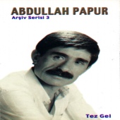 Abdullah Papur - Yolcu