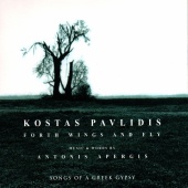 Kostas Pavlidis - Forth Wings & Fly