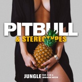 Pitbull - Jungle