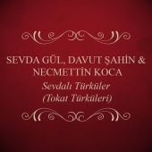 Sevda Gül & Davut Şahin & Necmettin Koca - Sevdalı Türküler (Tokat Türküleri)