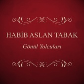 Habib Aslan Tabak - Gönül Yolcuları