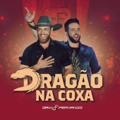 Davi e Fernando - Dragão na Coxa (Ao Vivo)