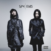 SIM - Evils