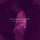 Gladius James - Too Bad [Acoustic]