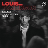 Louis Tomlinson - Miss You (Luca Schreiner Remix)