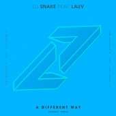 DJ Snake - A Different Way (feat. Lauv) [DEVAULT Remix]