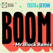 Tiësto & Sevenn - BOOM [Mr. Black Remix]
