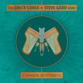 Chick Corea & Steve Gadd - Chinese Butterfly