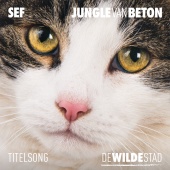 Sef - Jungle Van Beton [Titelsong 