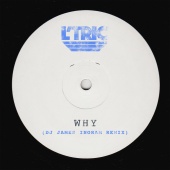 L'Tric - Why [DJ James Ingram Remix]