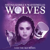 Selena Gomez & Marshmello - Wolves ( Said The Sky Remix )