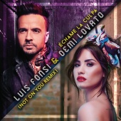 Luis Fonsi & Demi Lovato - Échame La Culpa [Not On You Remix]