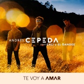 Andrés Cepeda - Te Voy a Amar