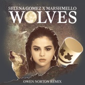 Selena Gomez & Marshmello - Wolves ( Owen Norton Remix )