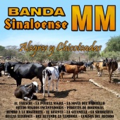 Banda Sinaloense MM - Alegres y Chicoteadas