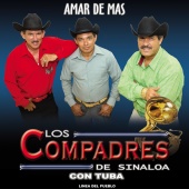 Los Compadres de Sinaloa - Amar de Más