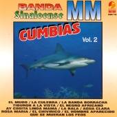 Banda Sinaloense MM - Cumbias, Vol. 2