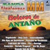 Banda Sinaloense MM - Boleros de Antaño
