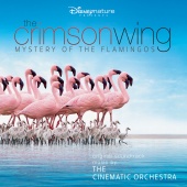 The Cinematic Orchestra & London Metropolitan Orchestra - The Crimson Wing: Mystery of the Flamingos [Original Soundtrack]