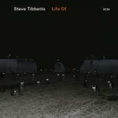 Steve Tibbetts - Bloodwork