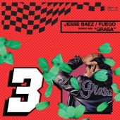 Jesse Baez & Fuego - Grasa