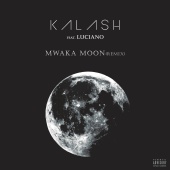 Kalash - Mwaka Moon (Remix)