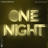Cedric Gervais - One Night (feat. Wealth) [Gerd Janson Remix]