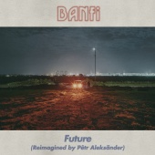 Banfi - Future [Reimagined By Pêtr Aleksänder]