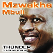 Mzwakhe Mbuli - Thunder - (Ladum' Izulu)
