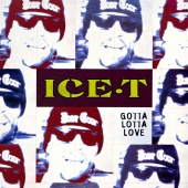 Ice T - Gotta Lotta Love