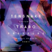 Tensnake - Pressure (Special Request Remix)