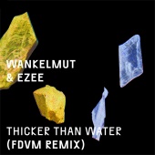 Wankelmut - Thicker Than Water (FDVM Remix)