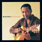 Muddy Waters - Anthology