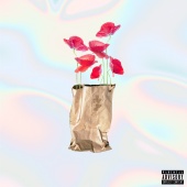 Yoshi Flower - Brown Paper Bag (Maxi)