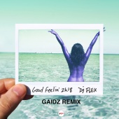 DJ Flex - Good Feelin' 2k18 [Gaidz Remix]