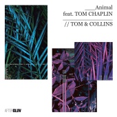 Tom & Collins - Animal (feat. Tom Chaplin)