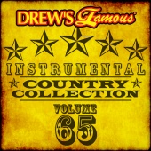 The Hit Crew - Drew's Famous Instrumental Country Collection [Vol. 65]