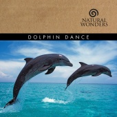 Brian Hardin - Dolphin Dance